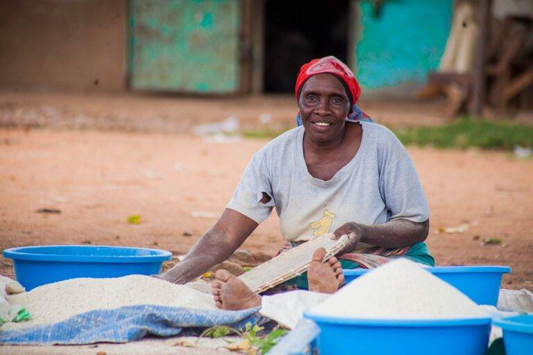 A Deep Dive into Artisan Cheese Making