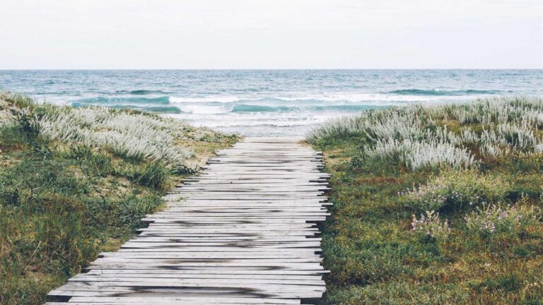 What Are The Benefits Of Holding A 99 Exch Master Id?